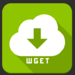 Куда wget сохраняет скачанные файлы