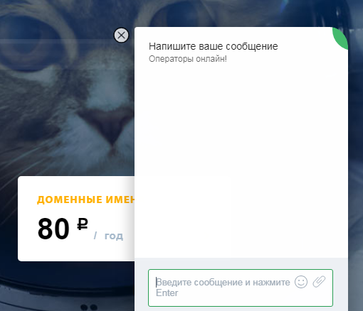 Чат технической поддержки fozzy Техническая поддержка fozzy